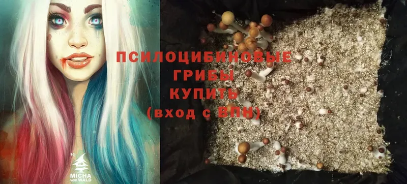 блэк спрут ссылки  Верхнеуральск  Псилоцибиновые грибы Magic Shrooms  как найти наркотики 